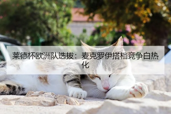 莱德杯欧洲队选拔：麦克罗伊搭档竞争白热化