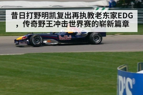 昔日打野明凯复出再执教老东家EDG,传奇野王冲击世界赛的崭新篇章